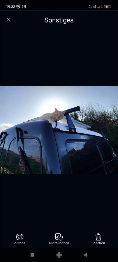 Campsite Beautiful Campervan To Rent
